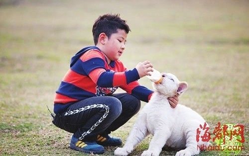 电影版《爸爸》剧照,石头喂白猫 电影版《爸爸》剧照,石头喂白猫