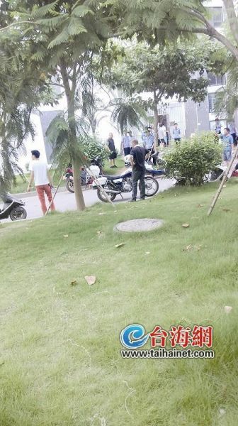 华大1女生坠楼身亡 华大1女生坠楼身亡