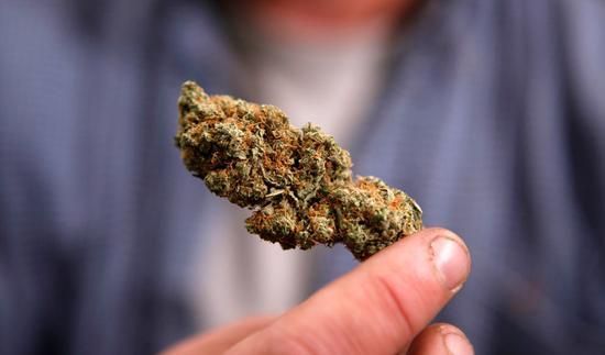 大一新生卖大麻赚学费 大一新生卖大麻赚学费