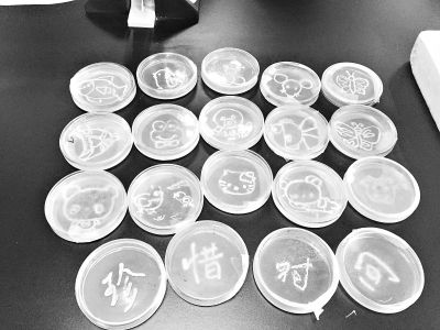 学生们用细菌画出的作品 熊元林提供 学生们用细菌画出的作品 熊元林提供