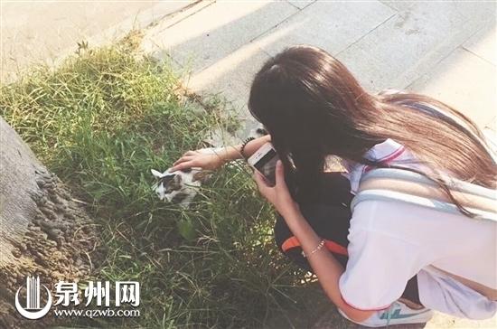 善良的小琪看见路边受伤的小猫小狗都很心疼(家属供图)