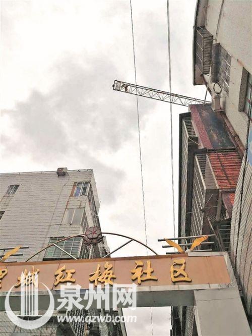 - 董某爬到塔吊扬言要轻生