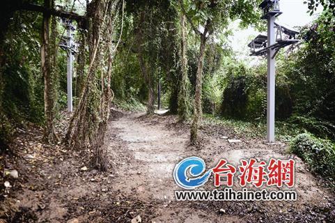 ▲笔山公园高处一条小路,静寂得有点……
