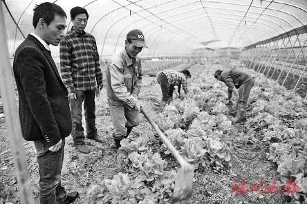 李其财(左一)带领宣讲小分队参观无公害蔬菜基地。