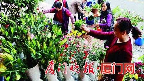 -市民精心挑选喜欢的花卉。刘东华摄