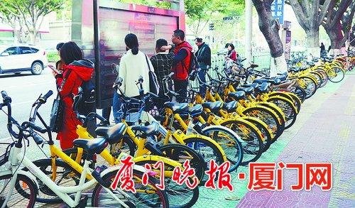 ■共享单车“攻占”公交车站。