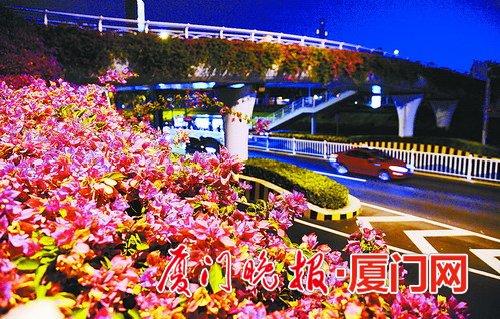 刘东华 摄