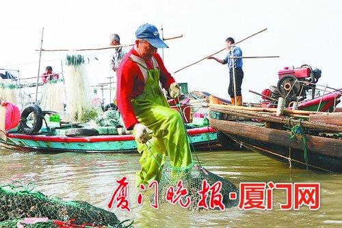 清洗和分离牡蛎。