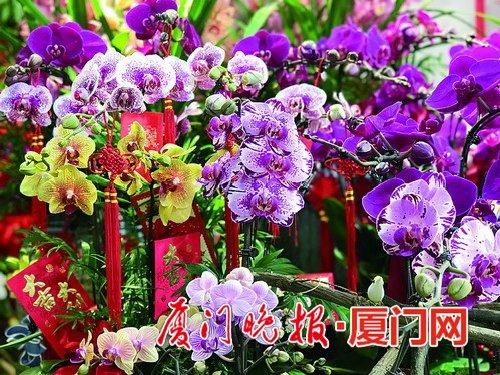 店家在花枝上装饰了喜庆的中国结和福袋。杨鹭菁摄