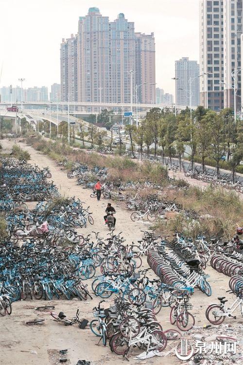 - 江滨南路旁的一块空地上,堆放着大量的共享单车。