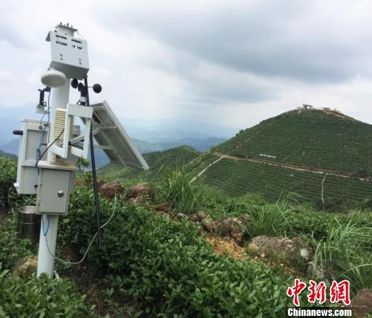 福建省安溪国心智慧园外景。 刘文标 摄