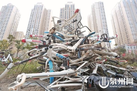 江滨南路靠近田安大桥下,被遗弃的破旧共享单车