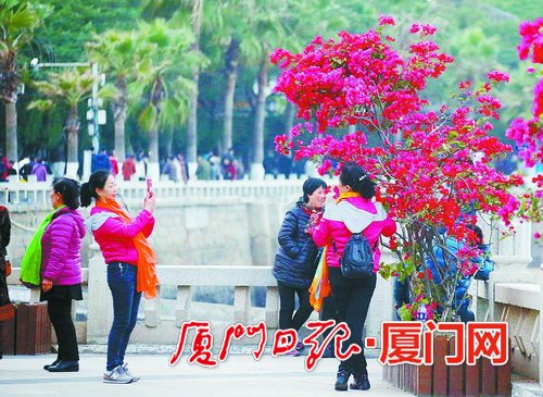 尽管气温偏低,鼓浪屿游客依旧热情不减。(本报记者姚凡摄)