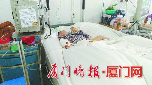 -乐乐手术后停止了哭闹。